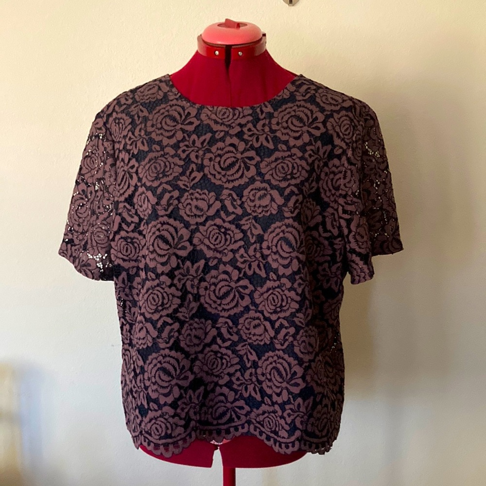 Ann Taylor size XL lace rose plum color short sleeves blouse with black lining.